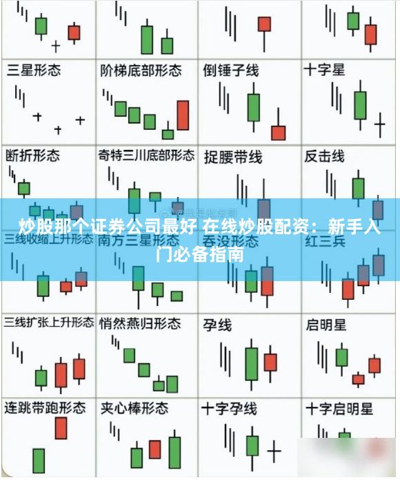 炒股那个证券公司最好 在线炒股配资：新手入门必备指南
